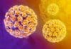 HPV Strain Linked to Improved Prognosis for Throat Cancer