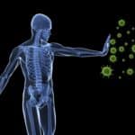 Boosting the Immune System to Effect Repairs and Fight Disease