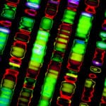 Scientists Discover Distant DNA Working Together to affect Disease Risk