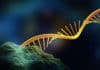 Scientists Unearth Long ncRNA Chromosomal Interactions