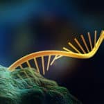 Scientists Unearth Long ncRNA Chromosomal Interactions