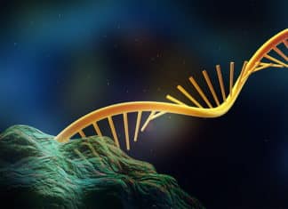 Nanowire Device for Microscopic Detection of Cancer Biomarkers in Urine Scientists Unearth Long ncRNA Chromosomal Interactions