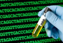 Walk-in for the post of Technical Assistant for DBT funded Biomarker Project @ JIPMER | Earn upto Rs. 23,200/- pm