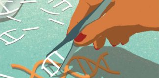 CRISPR-Assisted Study Works Out Mechanistic Details of ALS
