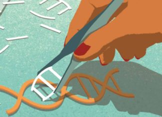 CRISPR-Assisted Study Works Out Mechanistic Details of ALS