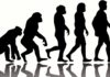 Computing Genetic Ancestors Has Become Super Accurate