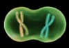 Older Genetic Biomarkers For Cancer Reveal Path of Best Treatment