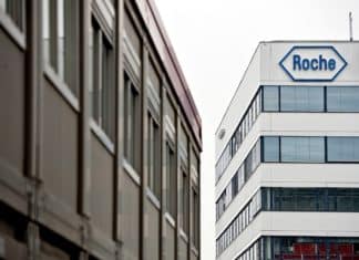 Roche, Warp Bio Make $387M Research and Development Pact