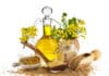 Commercial Release of GM mustard Will Occur After Supreme Court Approval