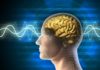 Can Brain Waves Be Used To Detect Personal Information?