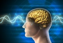 Can Brain Waves Be Used To Detect Personal Information?
