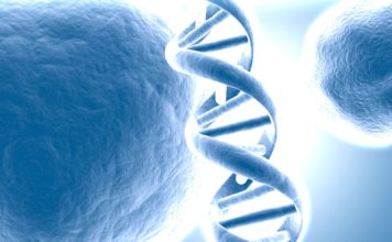 Applications invited for Research Fellows post @ School of Life Sciences, Manipal University