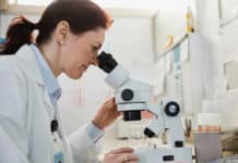 Presidency University Hiring Research Fellow in Wellcome Trust / DBT India Alliance Project SRF & JRF Positions Vacant @ GB Pant University