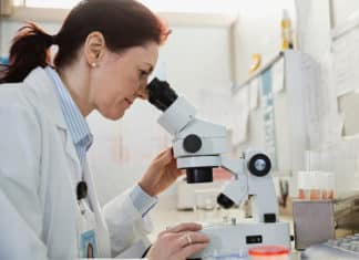 SRF & JRF Positions Vacant @ GB Pant University
