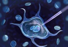 How Copy Number Varation Is Gaining More Importance