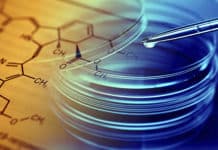 Instant Analysis: Celgene Pays $600 Million for Swiss Biotech University Research Fellowship - Biotechnology @ Periyar University