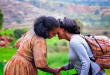 MIT Neuroscientists Find Brain Cells Responsible For “Social Memories”