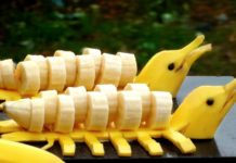 National Banana Festival is coming to Kerala! National Banana Festival is coming to Kerala!