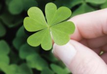 First Evidence: Human Stem Cells Could Decide Cancer ‘Lifestyle’ vs ‘Bad Luck’ Debate