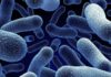 Microbial Resurrection – How ‘Dead’ Bacteria Return to Life