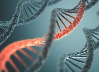 Earn Upto Rs 40,000/- pm at NII, Delhi as Research Associate in CFMM Project