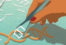 CRISPR Screen Finds New Potential Leukemia Drug Target