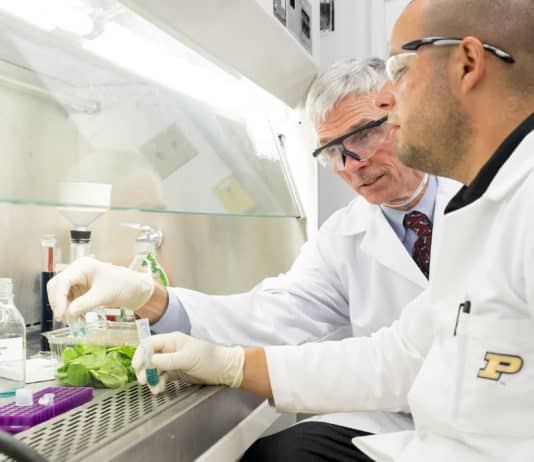 Kerala Agricultural University Recruitment 2018