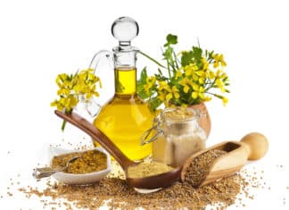 Government Looks to Press Ahead with GM mustard