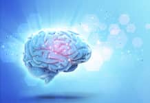 NBRC Invites Applications For Admissions to Ph.D. & M.Sc. (Neuroscience) Programmes – 2017