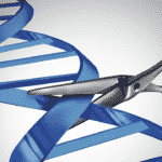 Singapore IPO Grants CRISPR Patent to Merck - Latest Update