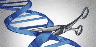 Singapore IPO Grants CRISPR Patent to Merck - Latest Update