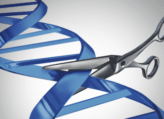Singapore IPO Grants CRISPR Patent to Merck - Latest Update