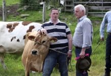 Dairy Farmers Say Current Use Of Antibiotics Are Thrice The Required Amount