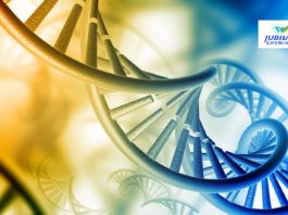 Research Assistant Post Vacant @ Jubilant Life Sciences | Salary : Rs 4.5 Lakh p.a