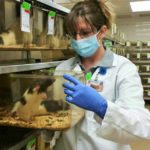 ACTREC Hiring For Animal Technician Post