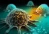 Apply For INNO INDIGO Postdoctoral Position on “Novel Cancer Therapeutics” @ IIT, Hyderabad