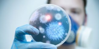 MSc Biosciences Project Technical Assistant Post