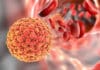 Zika Virus ‘Neutralized’ by Newly Discovered Antibody Bsc Life Sciences/Biotech Job Openings @ ICMR-NIMR