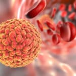 Bsc Life Sciences/Biotech Job Openings @ ICMR-NIMR