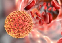 Bsc Life Sciences/Biotech Job Openings @ ICMR-NIMR