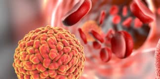 Bsc Life Sciences/Biotech Job Openings @ ICMR-NIMR