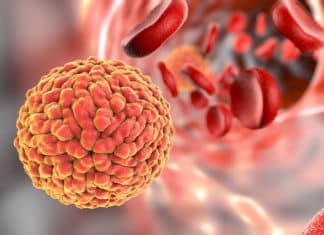Bsc Life Sciences/Biotech Job Openings @ ICMR-NIMR