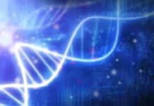 MSc & PhD Bioinformatics Research Associate Job @ ICAR-NBPGR