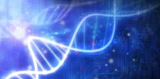 MSc & PhD Bioinformatics Research Associate Job @ ICAR-NBPGR