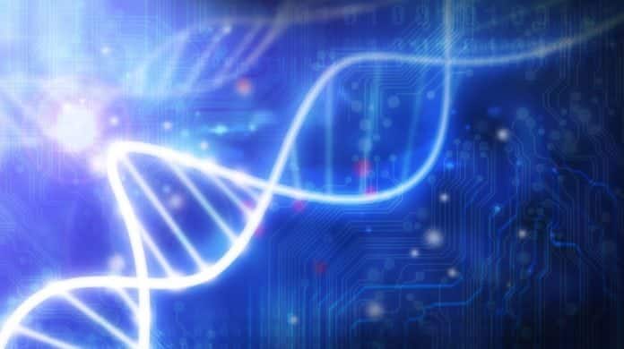 MSc & PhD Bioinformatics Research Associate Job @ ICAR-NBPGR