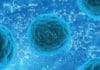 Work as Research Scientist – Cell-line Engineering @ Pfizer