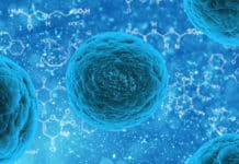 Work as Research Scientist – Cell-line Engineering @ Pfizer