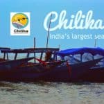R&D Govt Job @ Chilika Development Authority