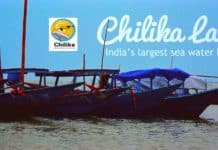 R&D Govt Job @ Chilika Development Authority