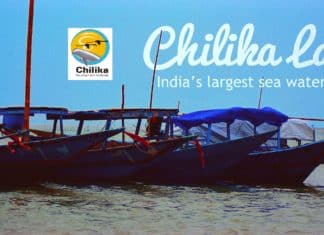 R&D Govt Job @ Chilika Development Authority